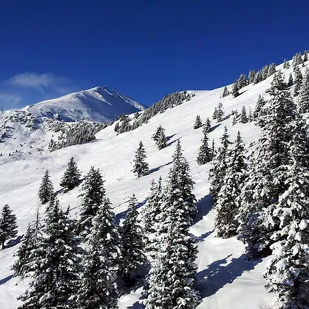 公寓 Haus Lundegg 弗林肯贝格