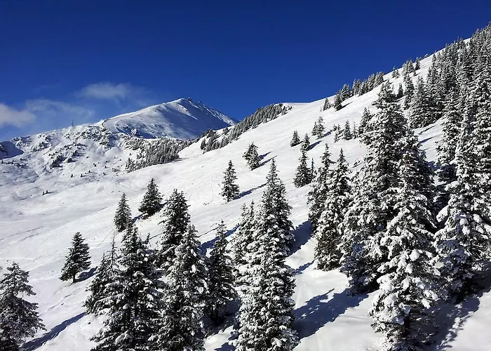 Lägenhet Haus Lundegg Finkenberg